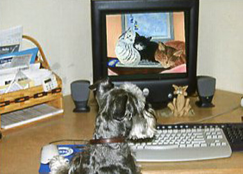 Technology Has Gone To The Dogs Ever Since They Discovered The New Cat & Mouse Game Gloria Fuller Lancaster WI photography